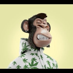 Meet your Posher, Dante